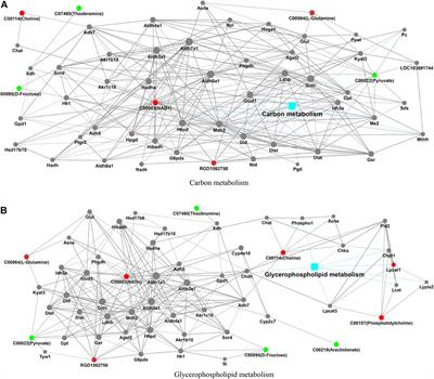 Integrated Proteomics and Metabolomics Analysis in Pregnant Rat Hippocampus After Circadian Rhythm Inversion